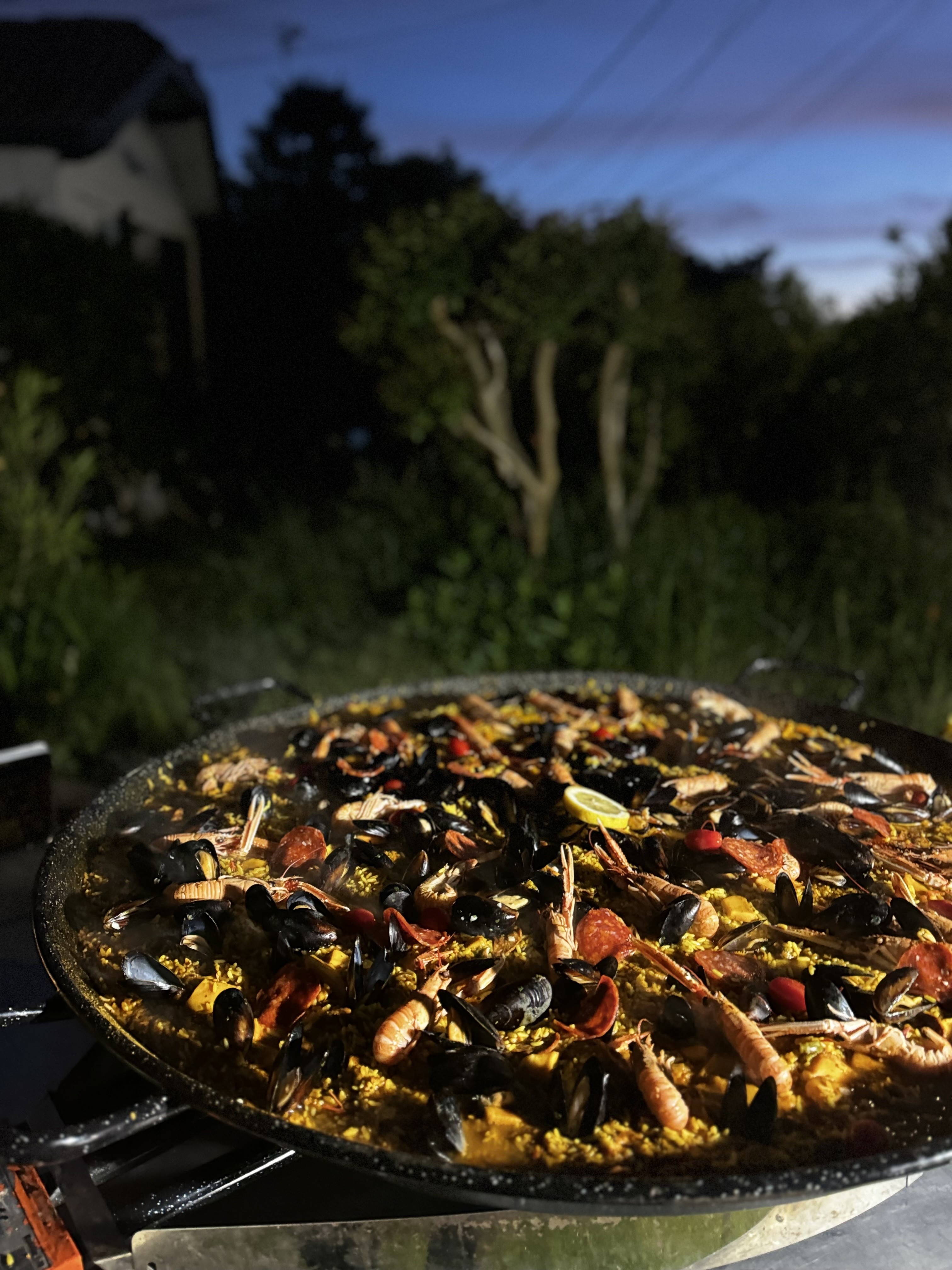 PAELLA BISCA TRAITEUR 9348